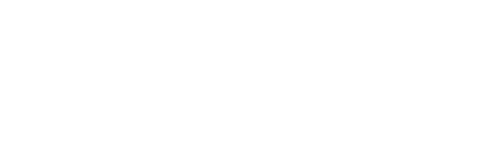 Bravo Store Systems